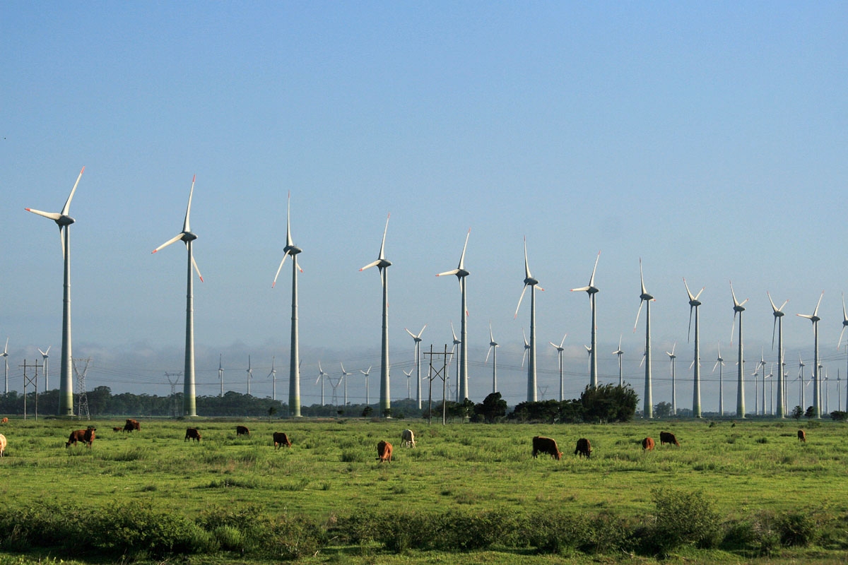 Il parco eolico Fontes dos Ventos  a Tacaratu, nello Stato del Pernambuco